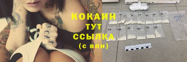 гидра Козловка
