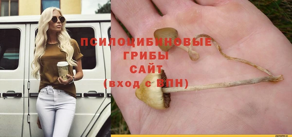 гидра Козловка