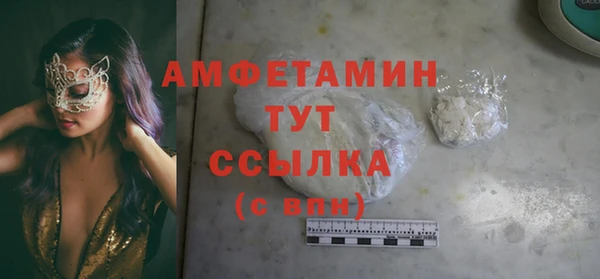 гидра Козловка
