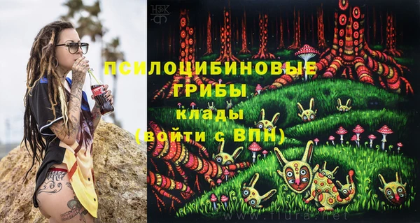 гидра Козловка