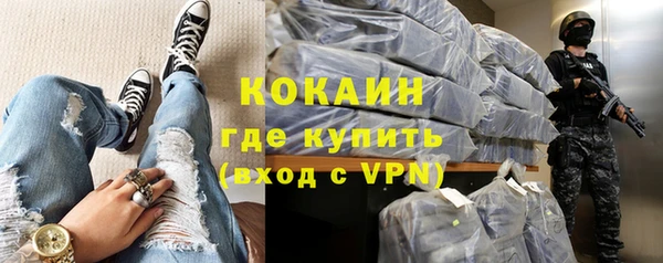 соль ск Козельск