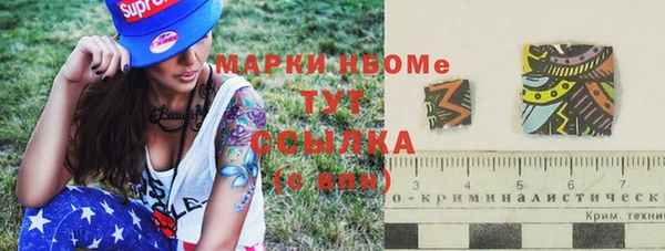 гидра Козловка
