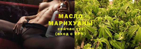гидра Козловка