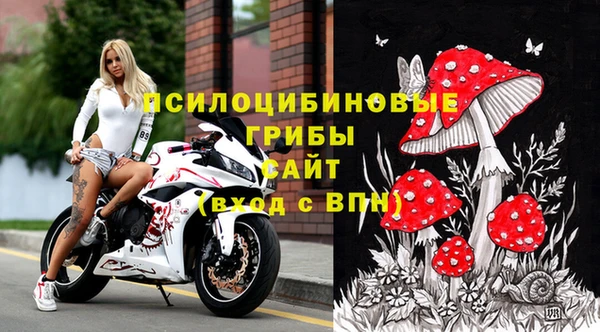 прущий лед Кодинск