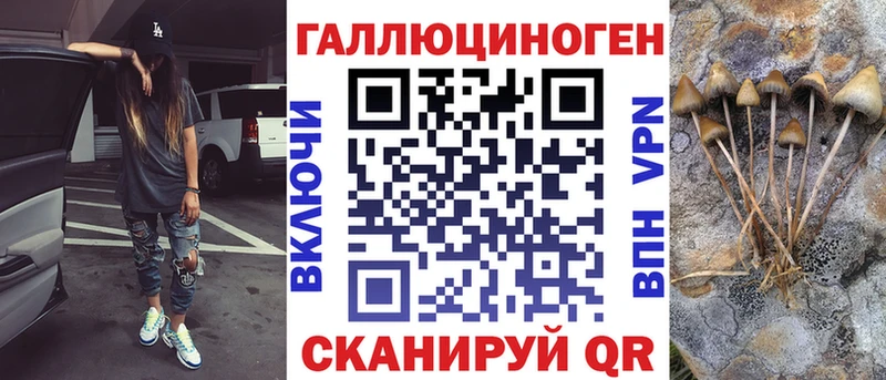 Купить  Горняк  Псилоцибиновые грибы прущие грибы 